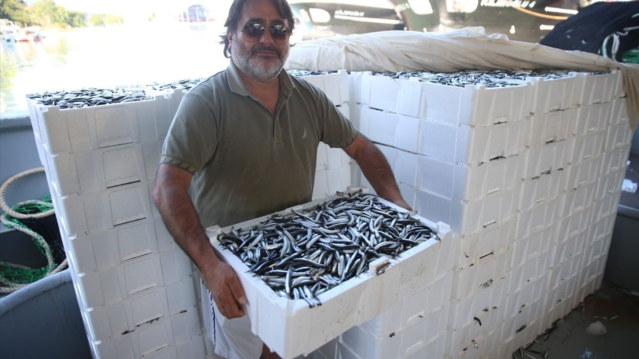 Ordu'da balıkçılar denize açıldı, kasalar dolusu hamsi limana getirildi