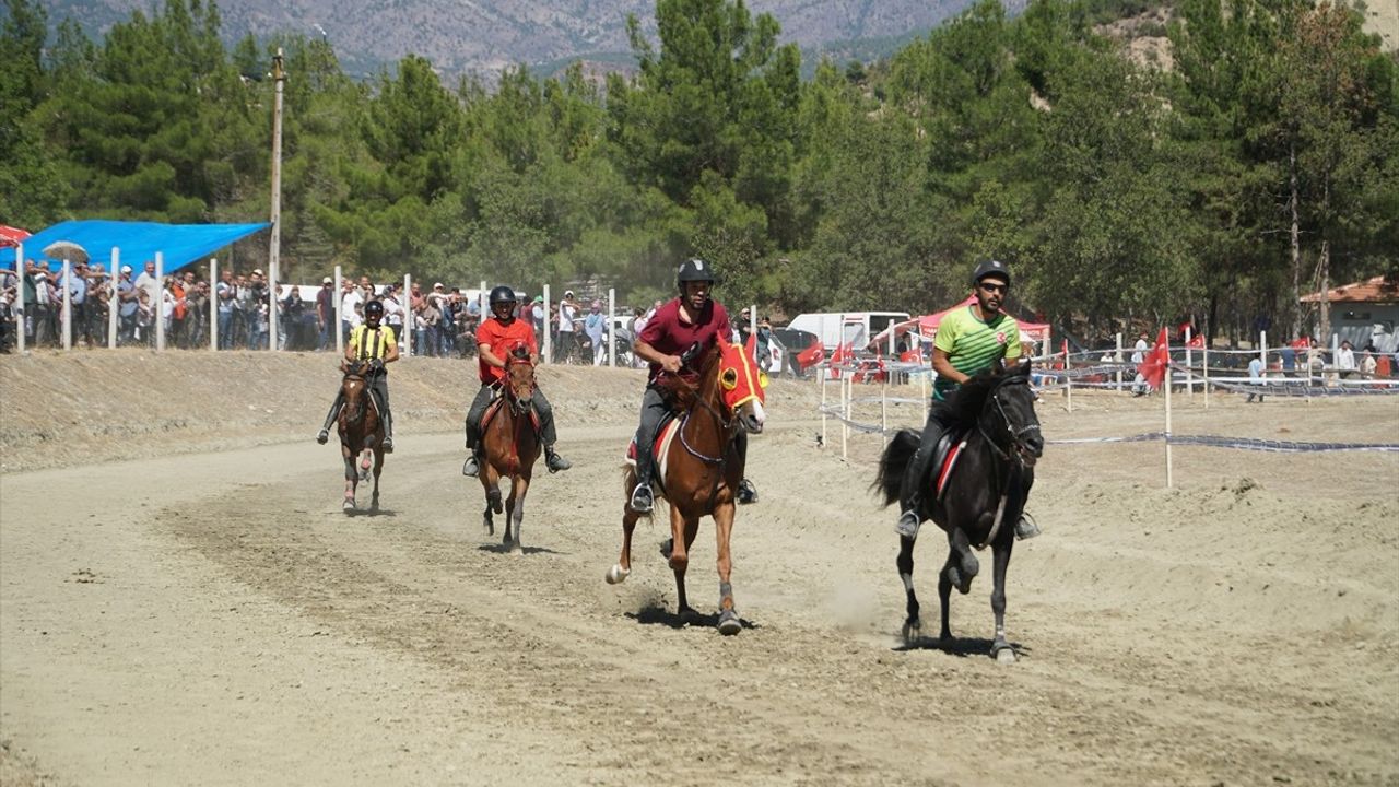 Osmancık'ta Pırlanta Pirinç Festivali kapsamında 130 sporcunun katıldığı rahvan at yarışları yapıldı