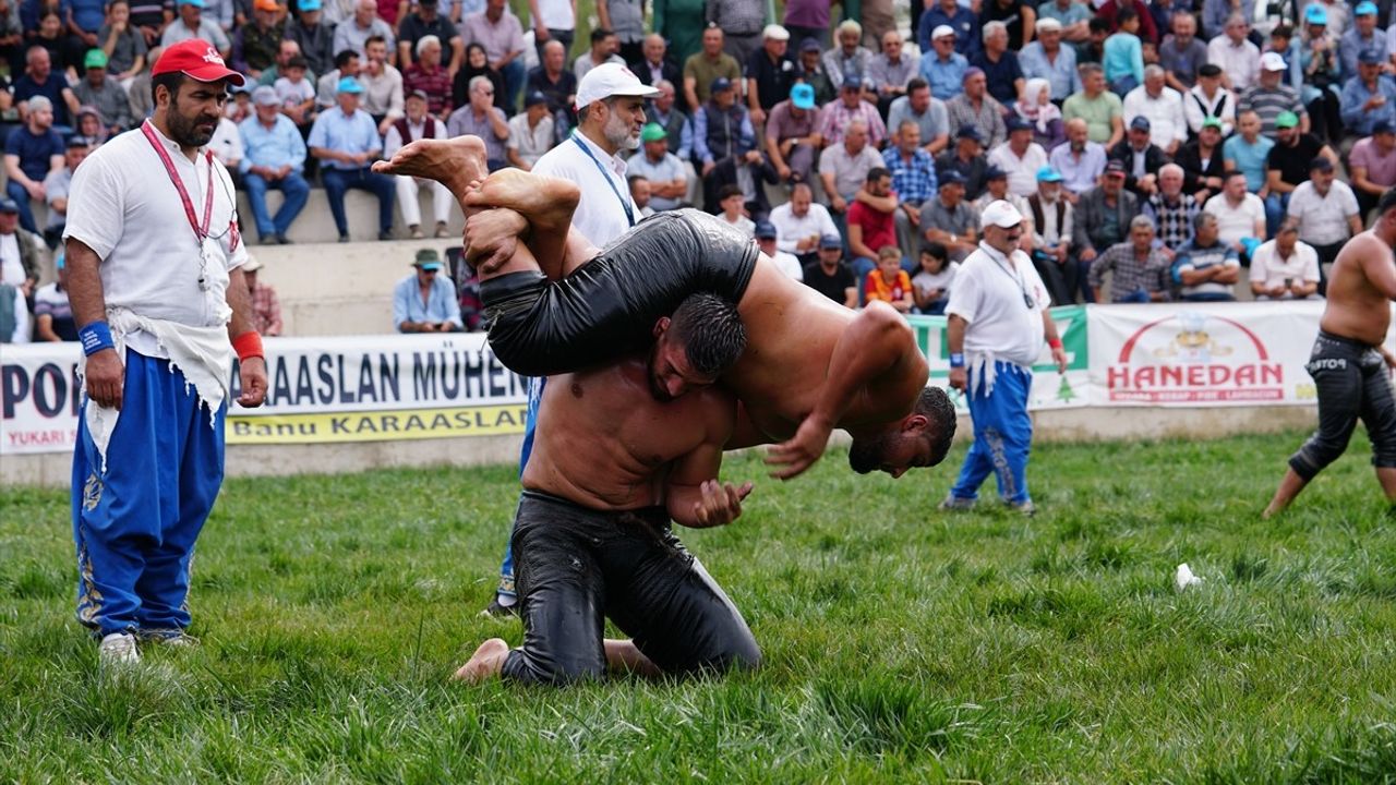 Osmancık'ta Yağlı Pehlivan Güreşleri'nde başpehlivan Erkan Taş oldu