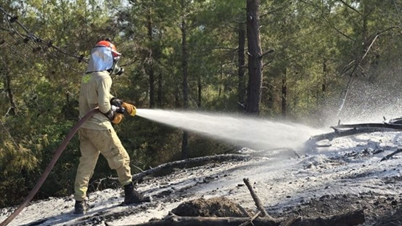 Osmaniye Kadirli'de orman yangını karadan ve havadan müdahaleyle söndürüldü