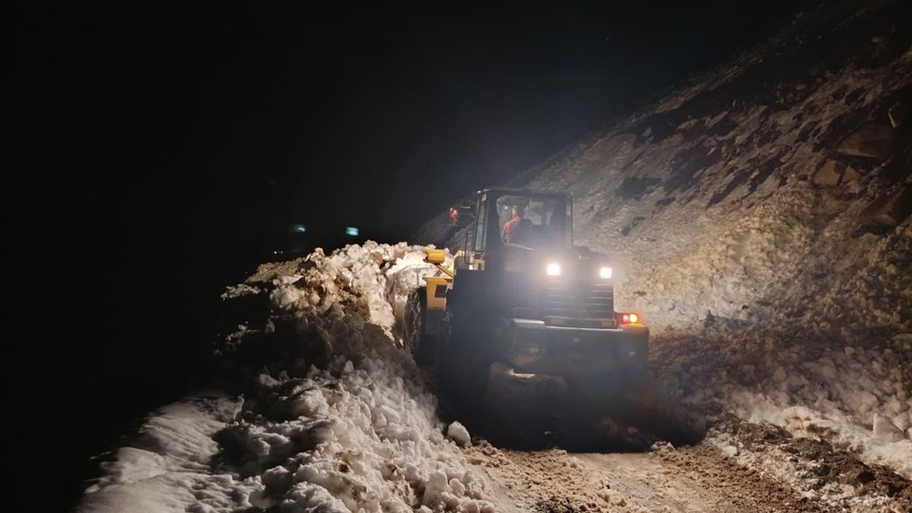 Rize Çamlıhemşin Tirovit Yaylası'nda çığ: 15 kişi ve 8 küçükbaş hayvan kurtarıldı