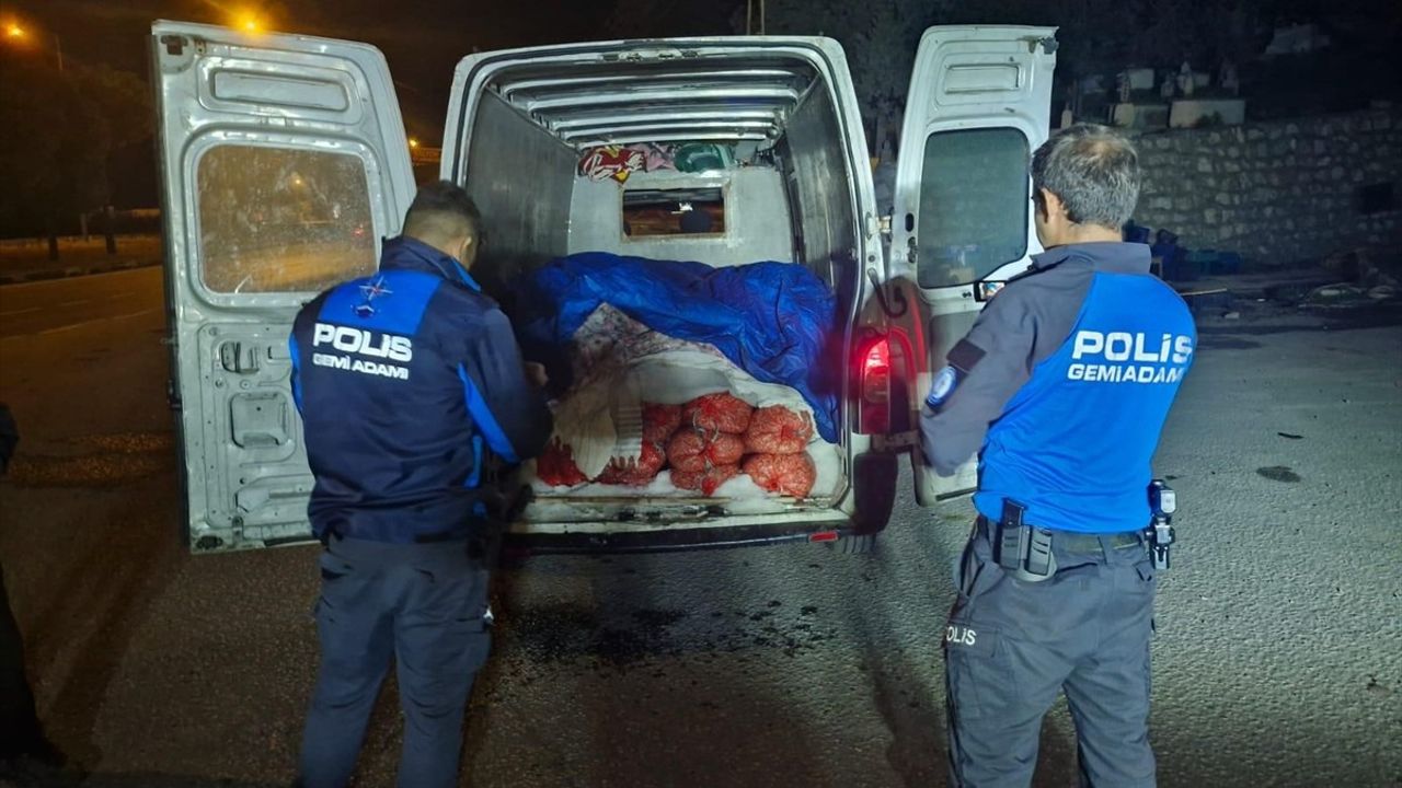 Samsun'da kaçak avlanan 5 ton midye operasyonla ele geçirildi