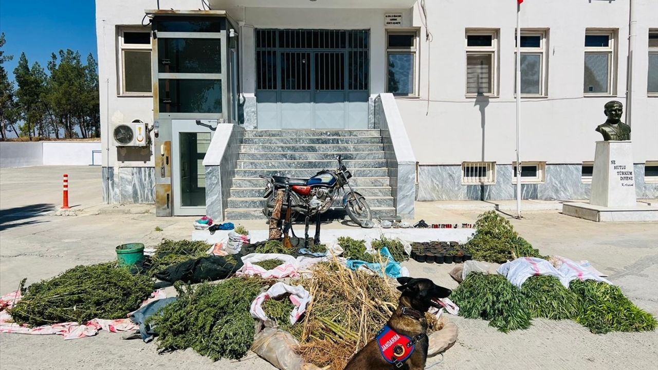 Şanlıurfa Birecik'te Narkotik Operasyonu: 3 Şüpheli Gözaltına Alındı