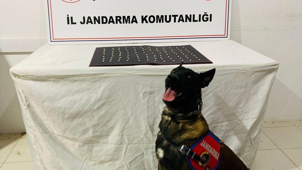 Şanlıurfa'da uyuşturucu ve silah kaçakçılığı operasyonunda 42 şüpheli gözaltına alındı