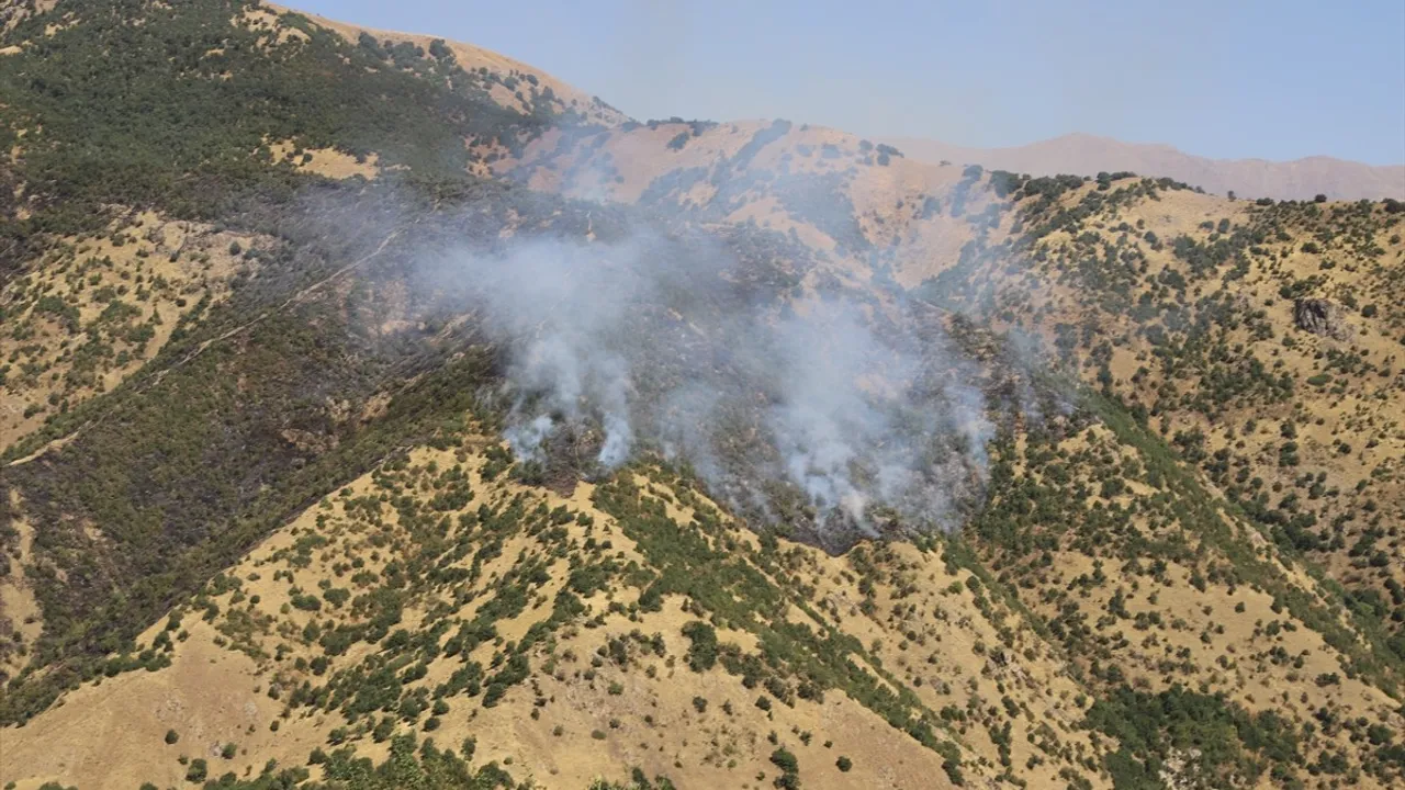 Şemdinli'de orman yangınına helikopter destekli müdahale sürüyor