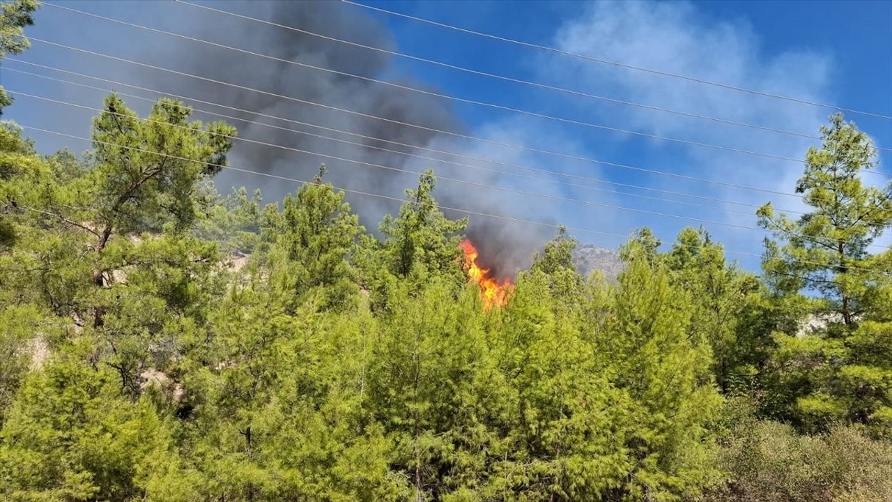 Serik'te Bilginler Mahallesi'nde orman yangını — ekipler müdahale ediyor
