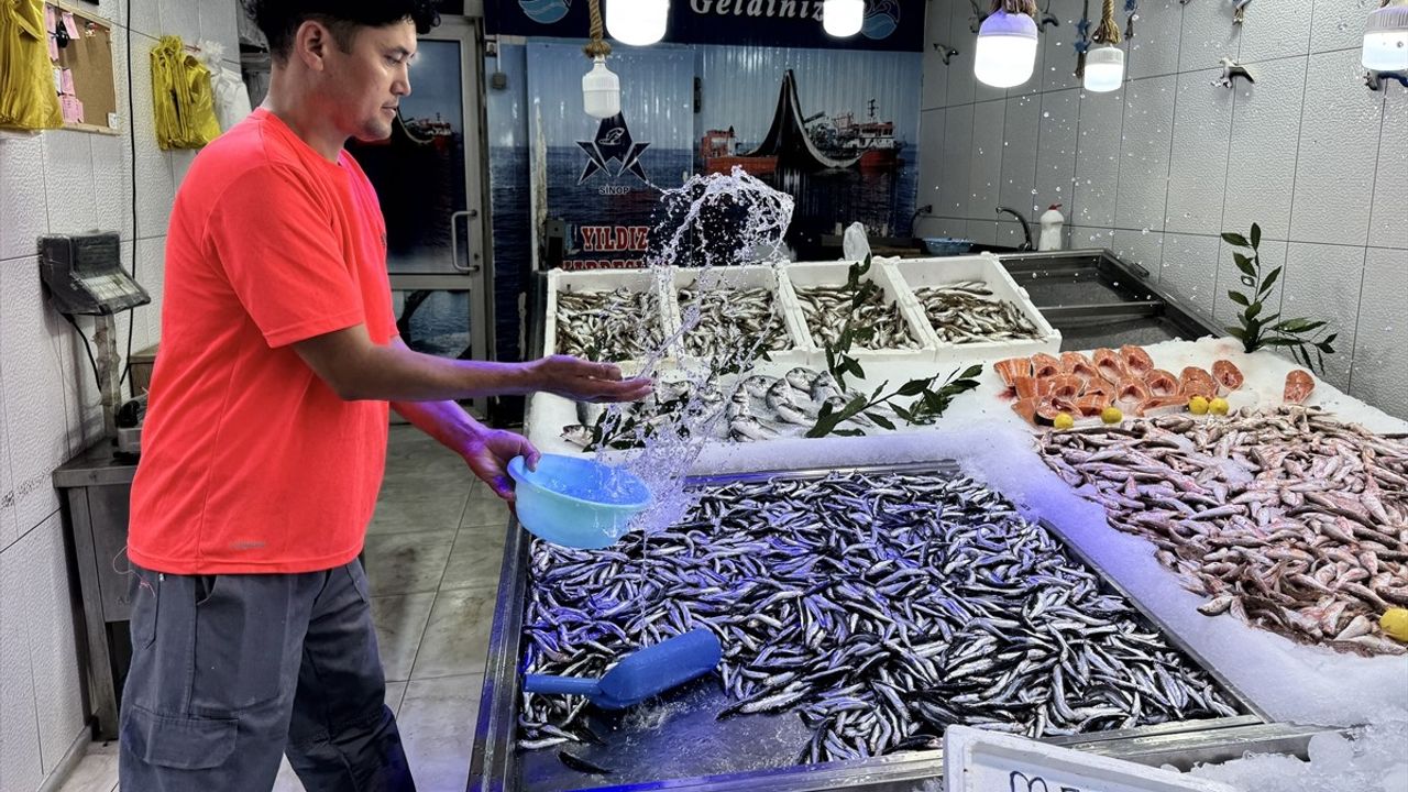 Sinop'ta Ağlara Erken Takılan Hamsi Balıkçılara Rahatlama Sağladı
