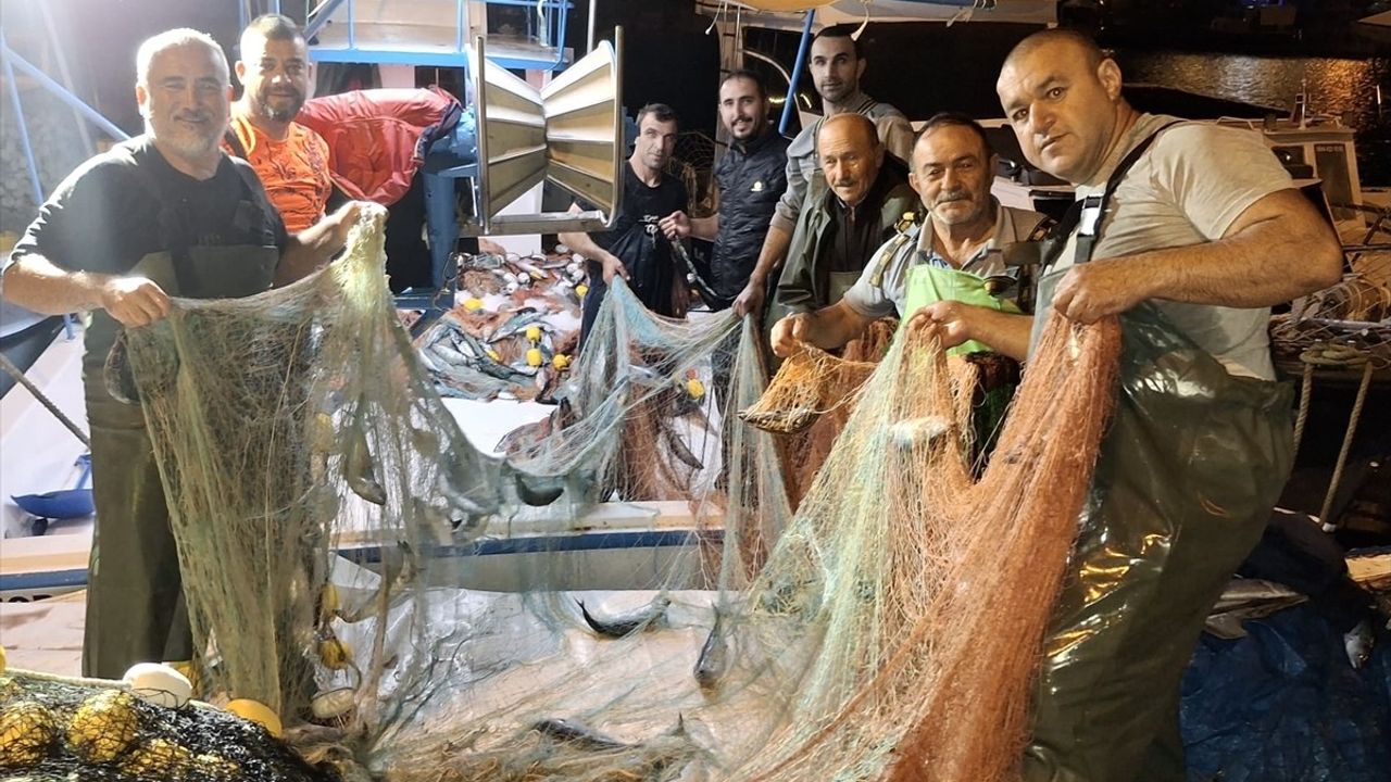 Sinop'ta balıkçılar bir gecede yaklaşık 9 bin palamut avladı