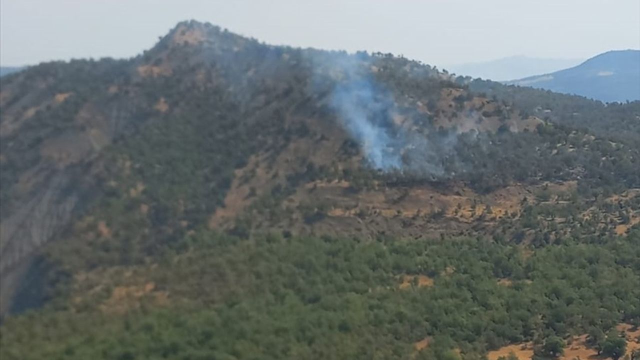 Şırnak'ta Bestler Dereler'de örtü ve orman yangınına havadan ve karadan müdahale sürüyor