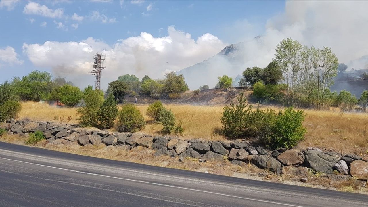 Sivas Zara'da ağaçlık alanda yangın: Söndürme çalışmaları devam ediyor