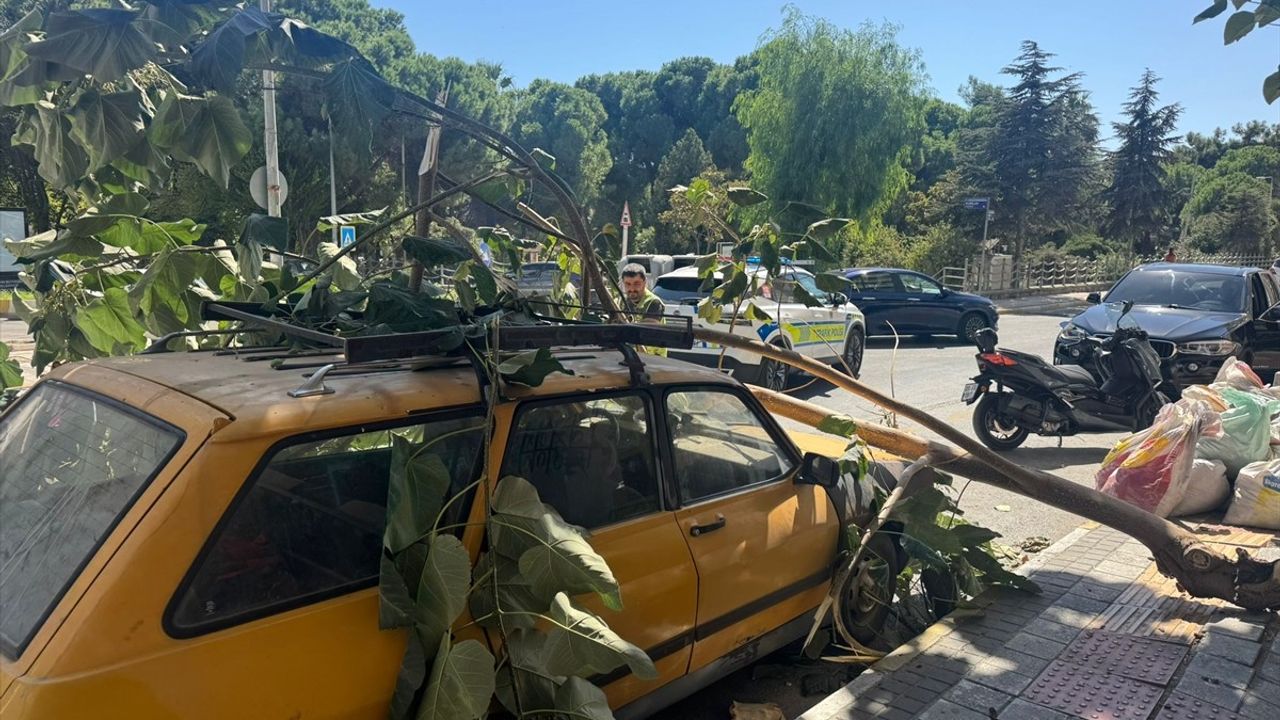 Söke'de Ağaç Dalı Park Halindeki Otomobilin Üzerine Düştü — Olay Güvenlik Kamerasında