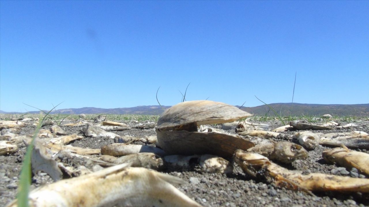 Tahtaköprü Barajı'nda su seviyesi yüzde 30'a düştü, Amik Ovası sulaması risk altında