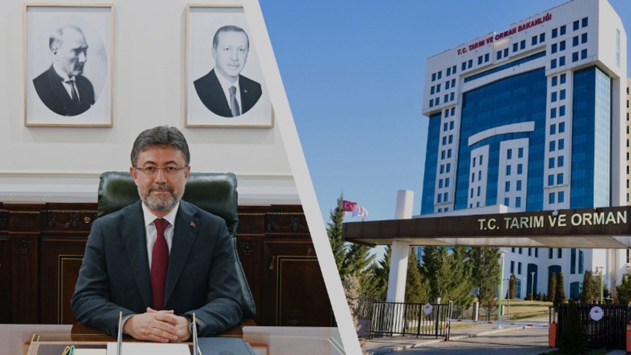 Tarım ve Orman Bakanlığı açıkladı: Peynirden zeytinyağına, baklava ve sucukta tağşiş tespitleri