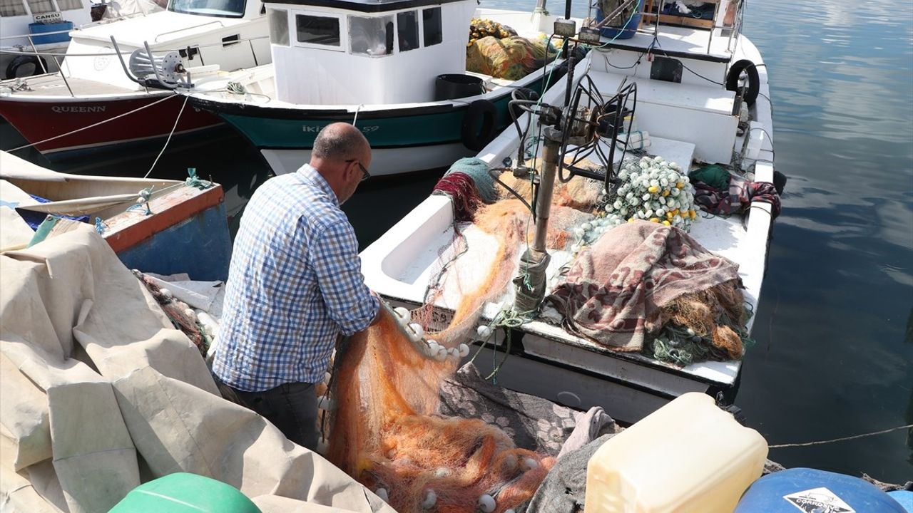 Tekirdağ'da istavrit bolluğu balıkçıların yüzünü güldürüyor