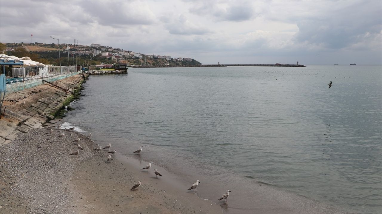 Tekirdağ'da poyrazın etkisini yitirmesiyle deniz ulaşımı normale döndü