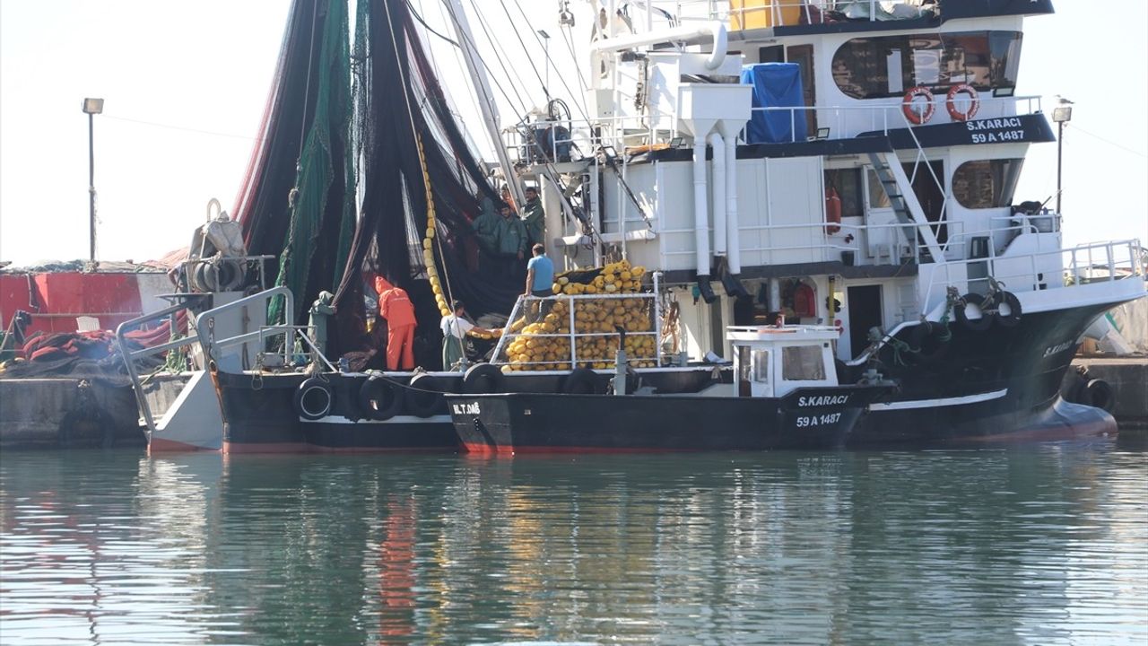 Tekirdağlı balıkçılar poyrazın dinmesiyle yeniden Marmara’ya açıldı