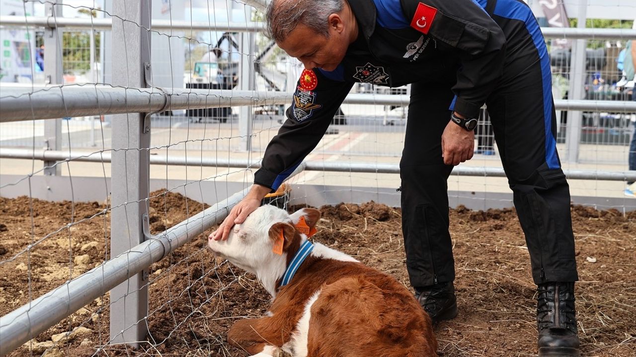 TEKNOFEST İstanbul'da TÜME'nin 'akıllı tarım' alanı ikinci günde üst düzey heyetleri ağırladı