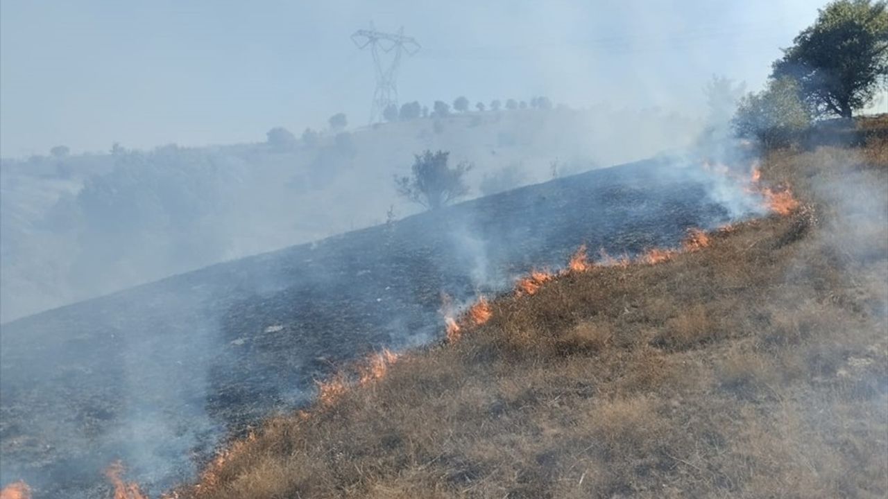 Tokat Artova'da makilik yangını söndürüldü; yaklaşık 50 dönüm zarar gördü