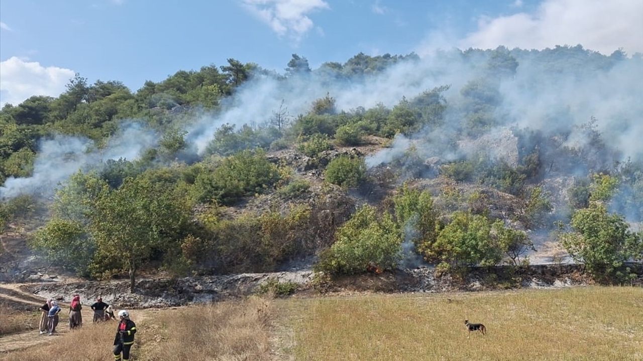 Tokat Niksar'da Arpaören köyü yakınlarında orman yangını büyümeden söndürüldü