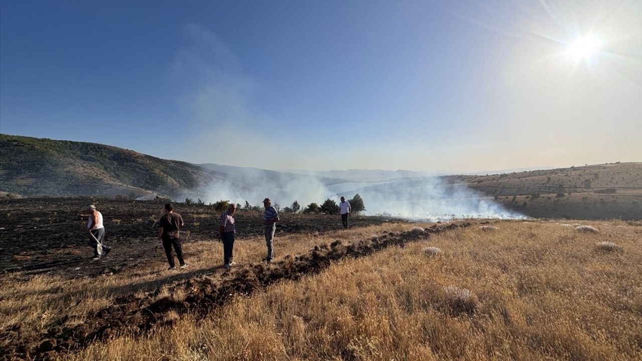 Tokat'ta orman yangını söndürüldü; yaklaşık 2 hektar alan zarar gördü