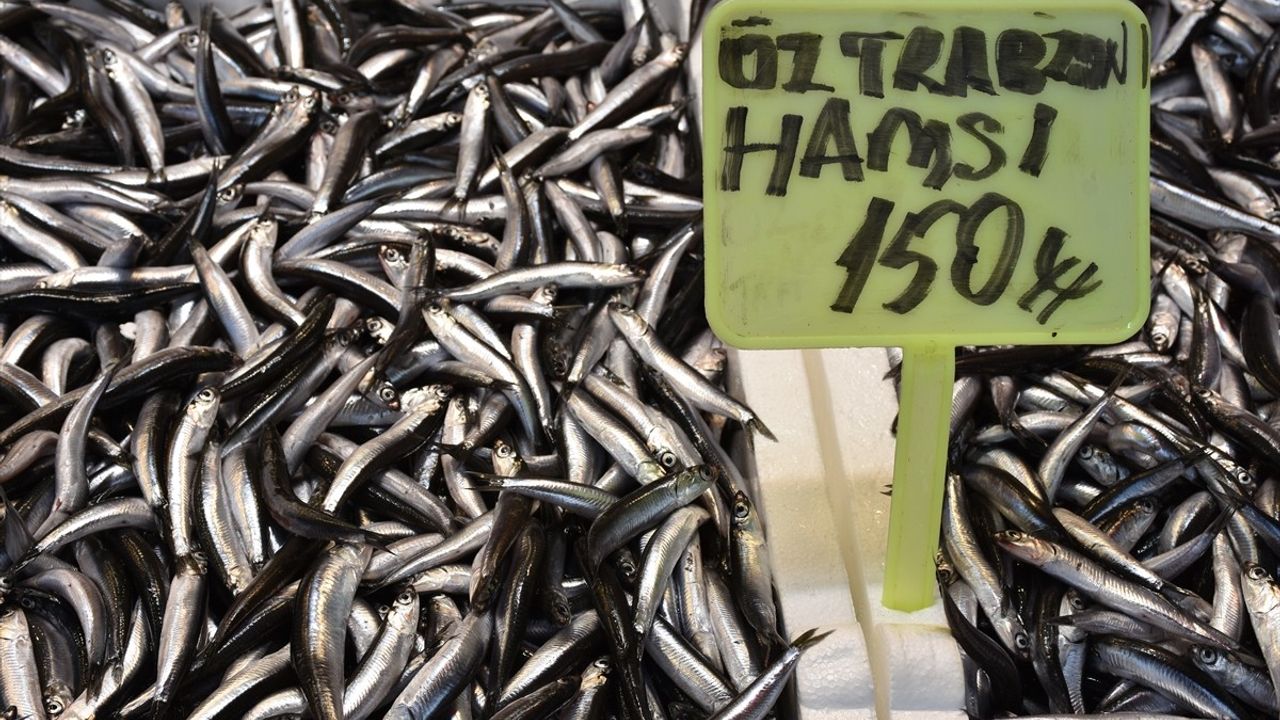 Trabzon'da balık fiyatları: Hamsi ve istavrit kilogramı 150 TL