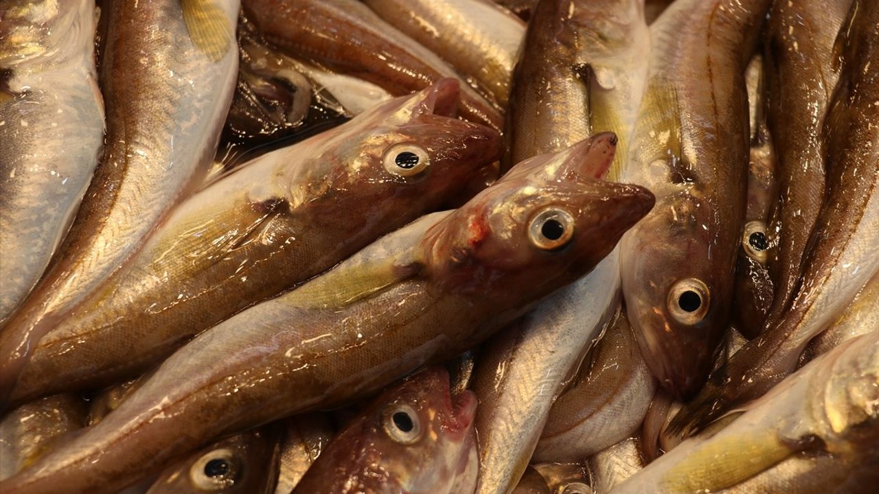 Trabzon'da balık tezgahlarında mezgit ve istavrit ön planda