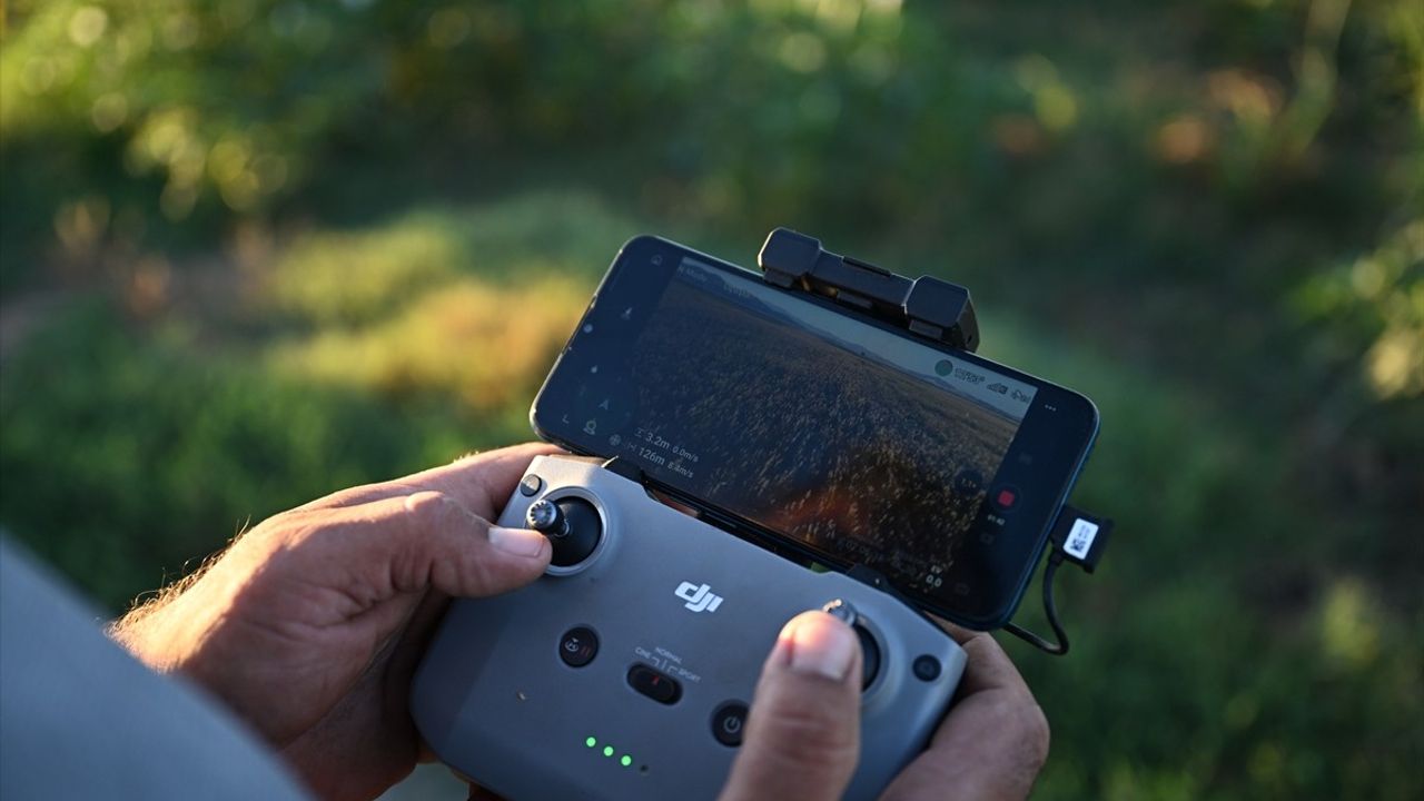 Türkoğlu'da çiftçiler akdarıyı kuşlardan dronla koruyor