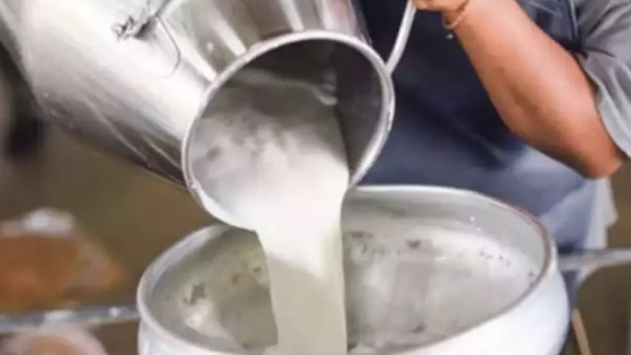 Ulusal Süt Konseyi çiğ süt tavsiye fiyatını litre başına 19,60 TL olarak açıkladı