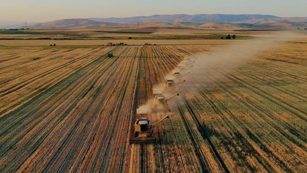 Üretim Desteklerinde Yüzde 27 Artış: Destek Katsayısı Yükseldi