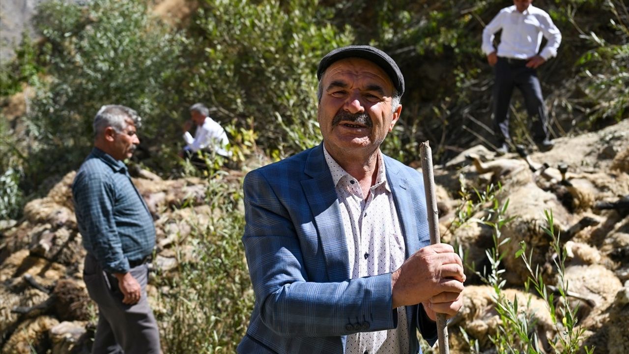 Van Çatak'ta kayalık alandan düşen sürüde 334 küçükbaş hayvan telef oldu