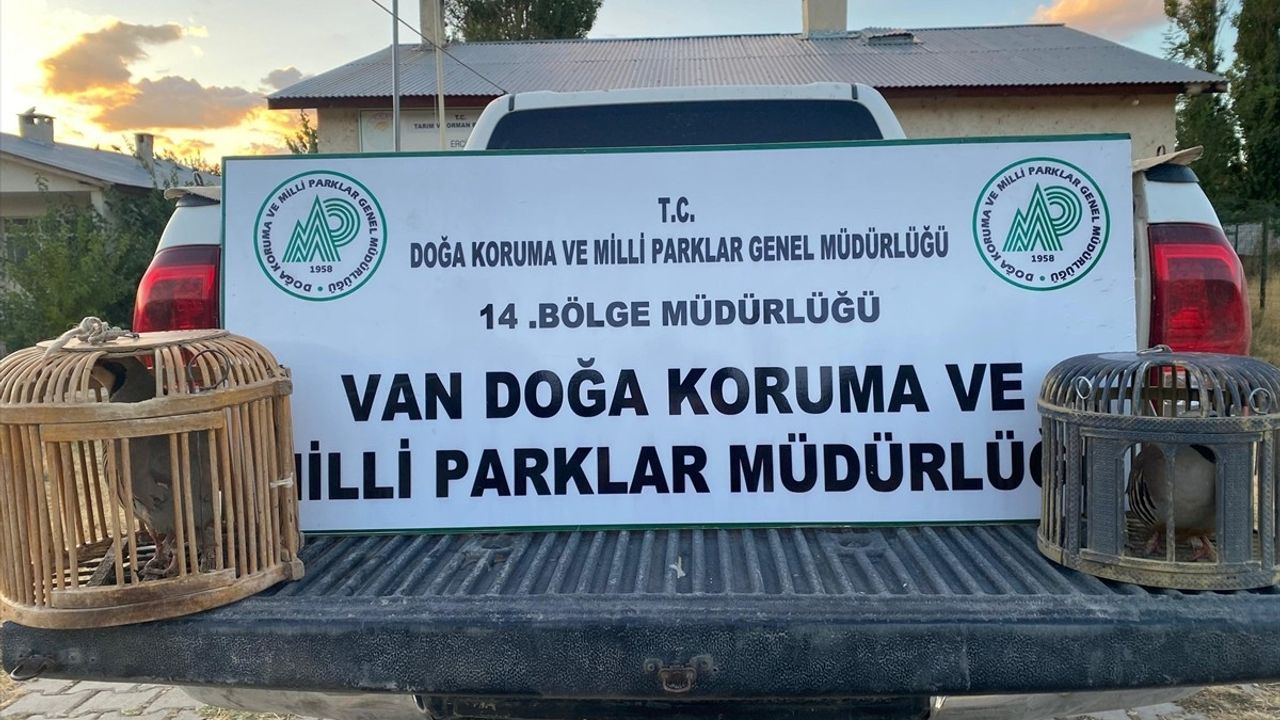 Van'da kaçak keklik avcılığına 48 bin 883 lira ceza