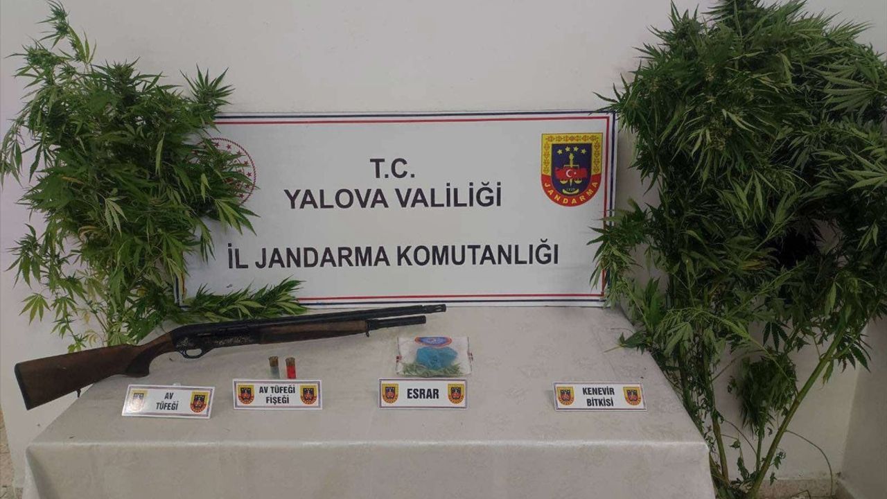 Yalova'da jandarma operasyonu: Çınarcık ve Altınova'da 2 şüpheli gözaltına alındı