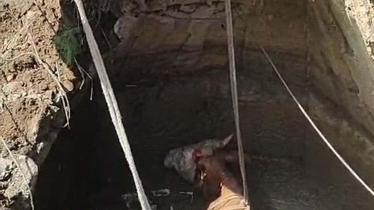 Yozgat'ta 4 metre derinliğindeki su kuyusuna düşen inek iş makinesiyle kurtarıldı