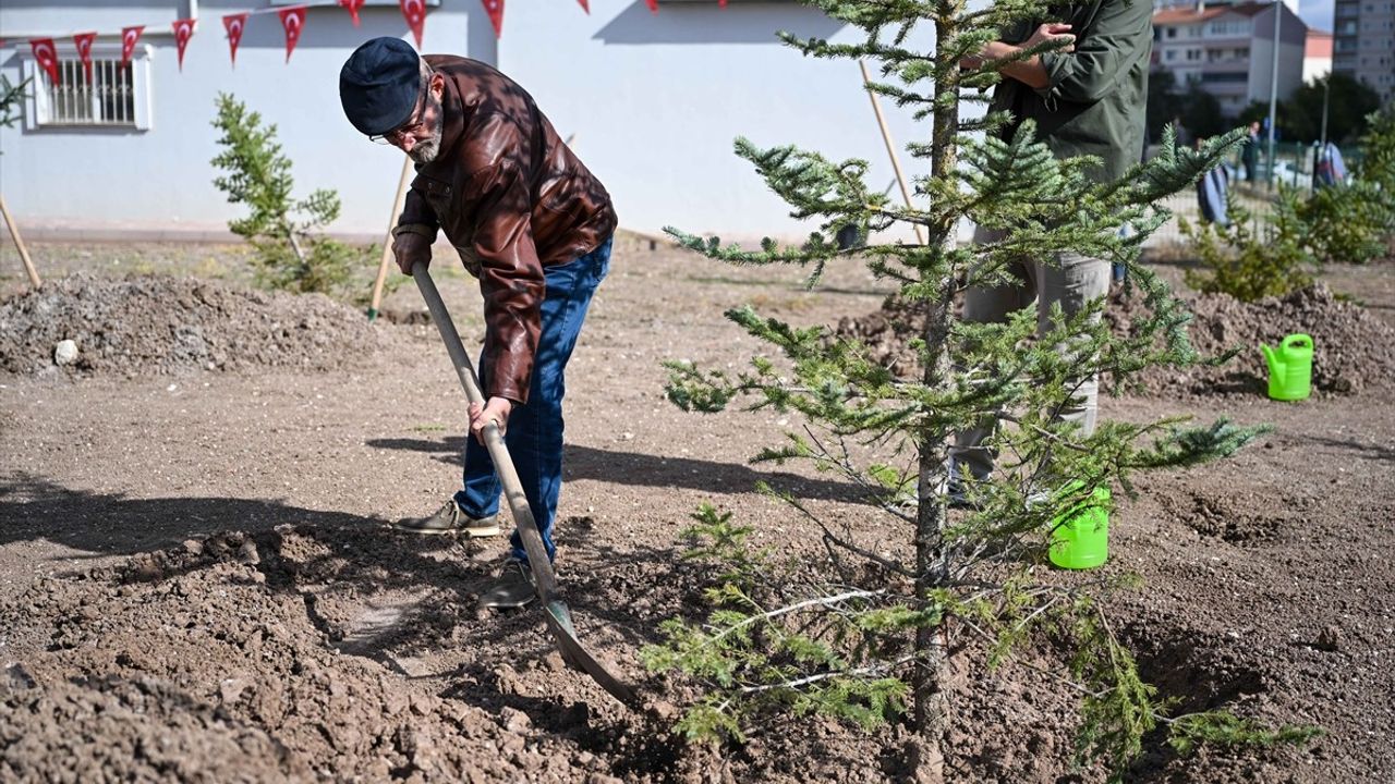 Acar: Filistinli gazeteciler için Sincan'da fidan dikildi — ‘Umut tohumu’ mesajı