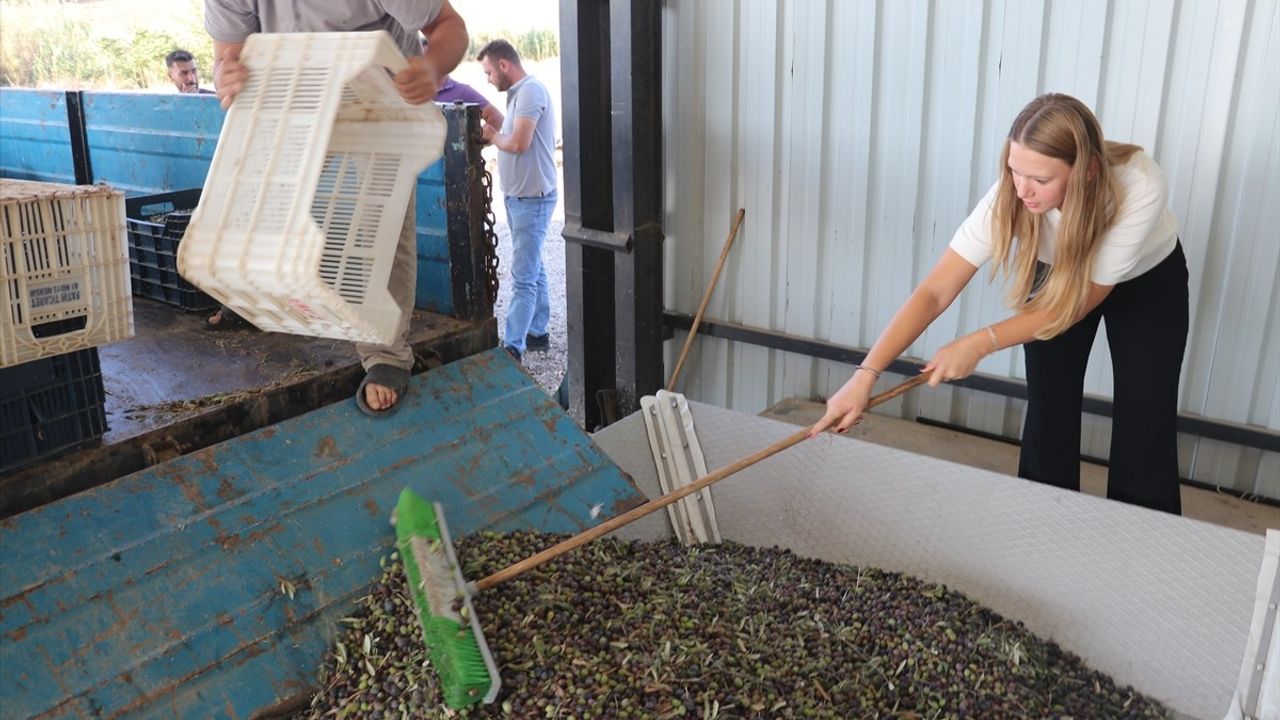 Adana'da 6 kuşaklık çiftçi Nihan Işık Yücel, TKDK desteğiyle zeytinyağı ve salamura zeytin tesisi kurdu