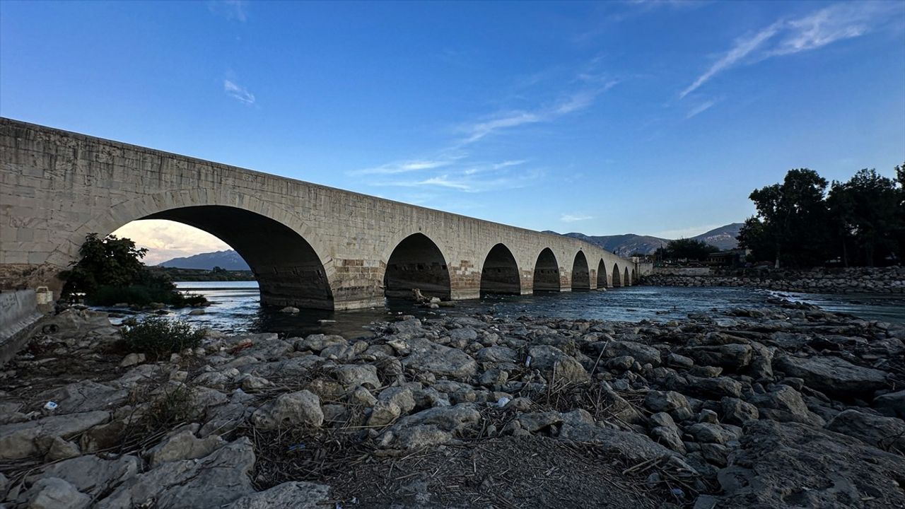 Adana'da Ceyhan Nehri'nde balık ölümleri üzerine inceleme başlatıldı