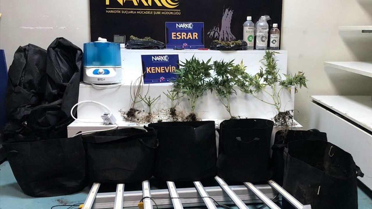 Adana'da iklimlendirme sistemiyle evde kenevir yetiştiren zanlı tutuklandı