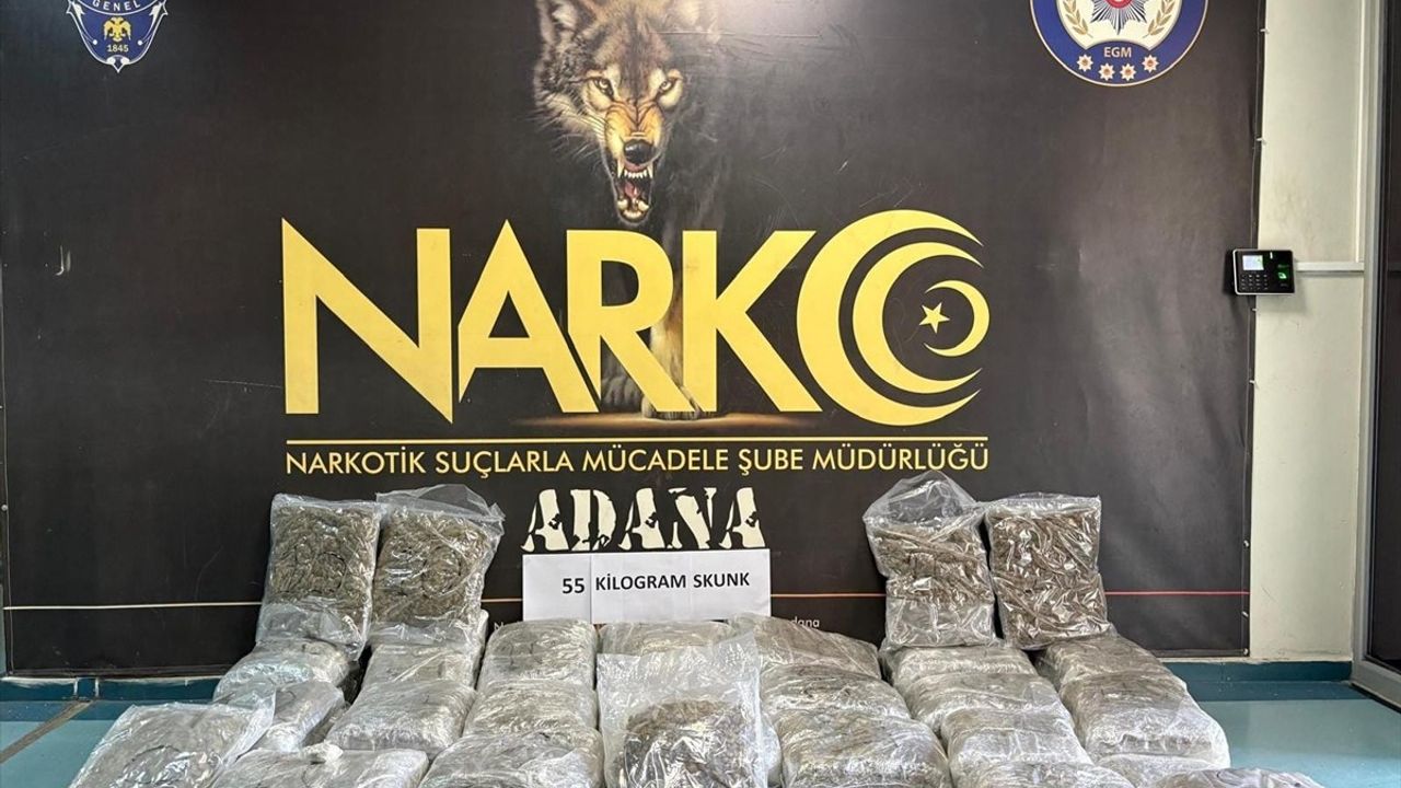 Adana'da tırda 55 kilogram skunk ele geçirildi