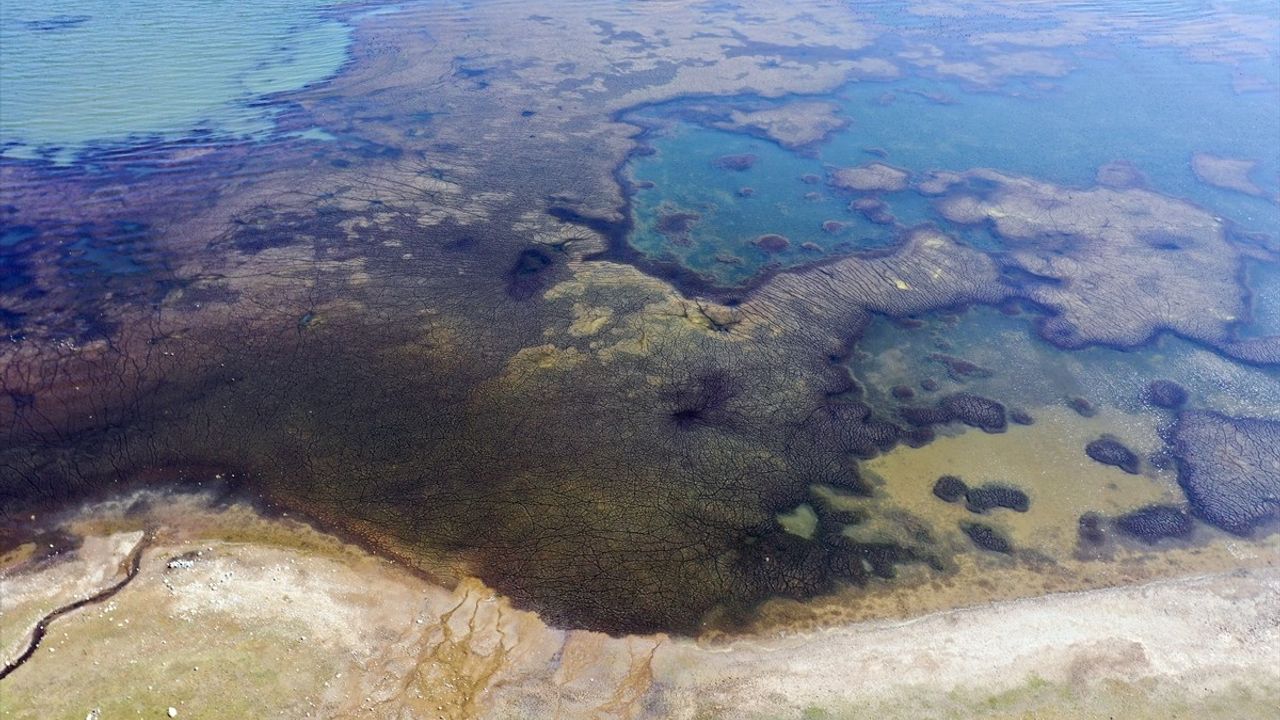 Ağrı'daki Balık Gölü, İklim Değişikliği ve İnsan Etkileriyle Küçülüyor