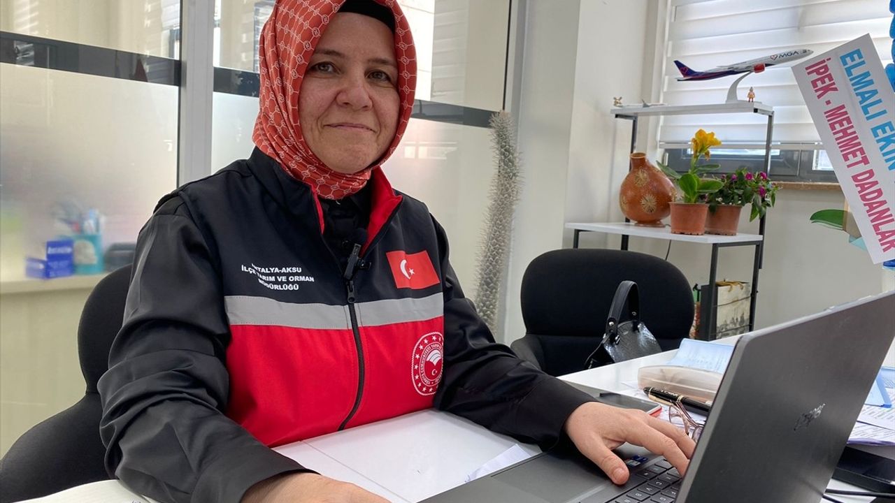 Aksu'da seralarda fırtına ve yağış hasarı: Hasar tespit çalışmaları devam ediyor