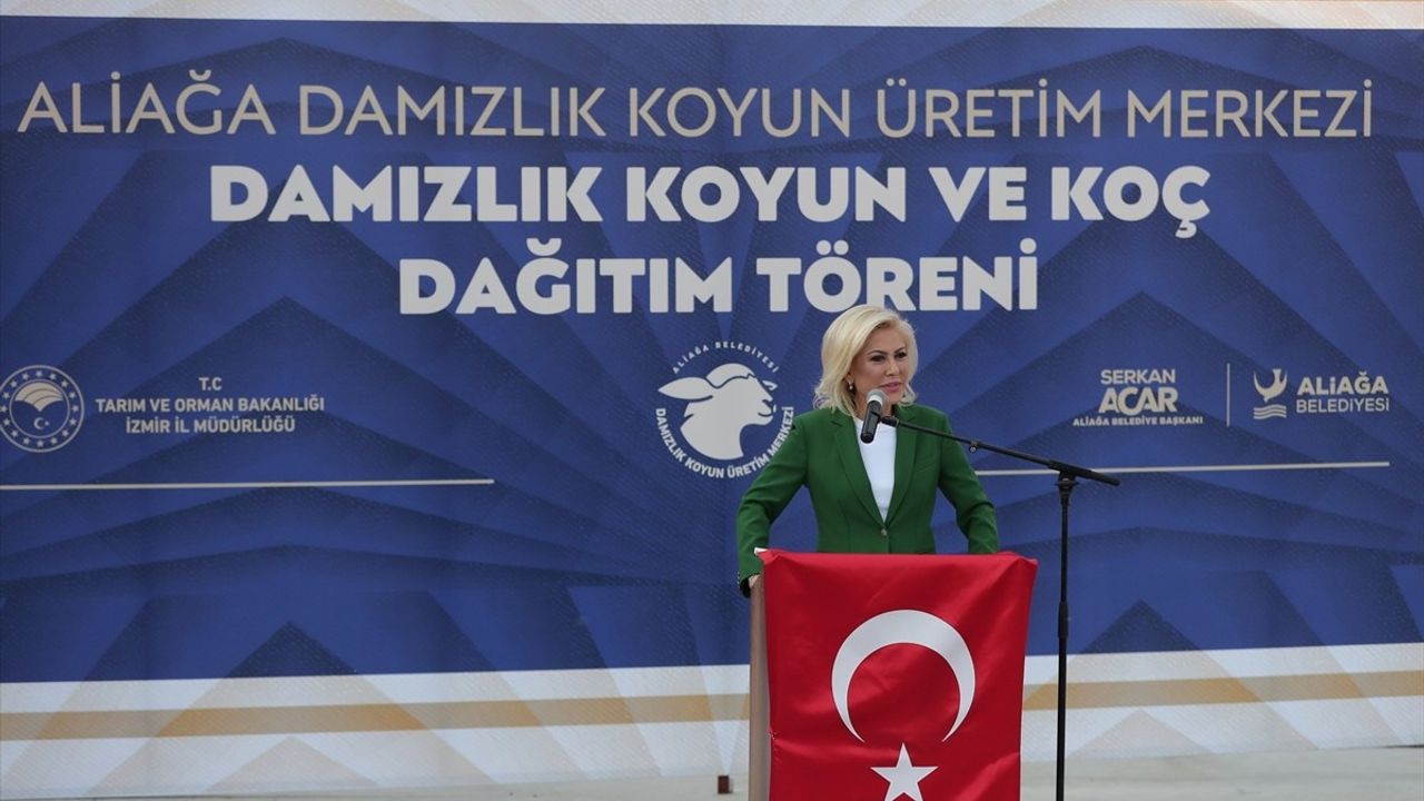 Aliağa Damızlık Koyun Üretim Merkezi ikinci etap: 210 küçükbaş hibe edildi