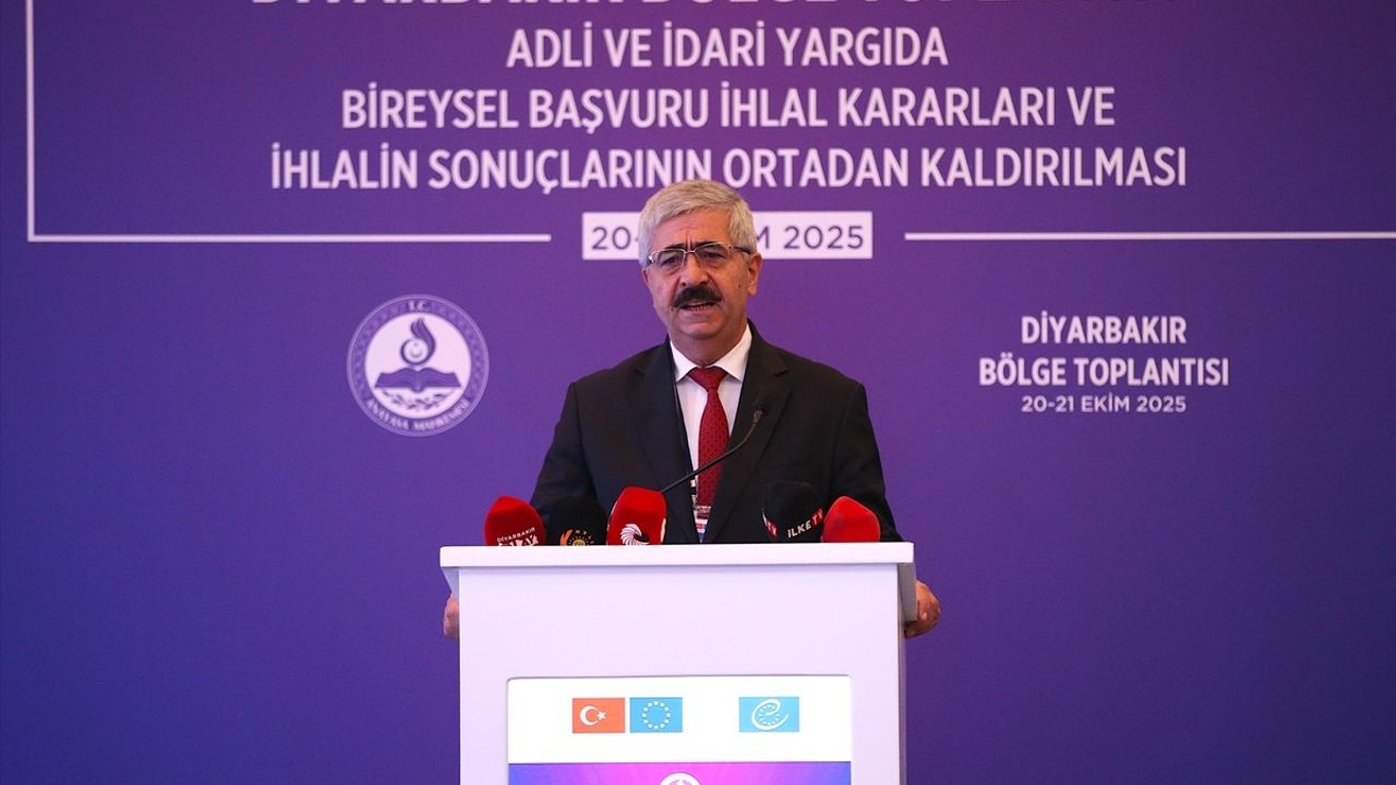 Anayasa Mahkemesi Başkanı Kadir Özkaya: Diyarbakır Toplantısında Bireysel Başvuru Verileri ve İhlal Kararlarının Uygulanması Tartışıldı