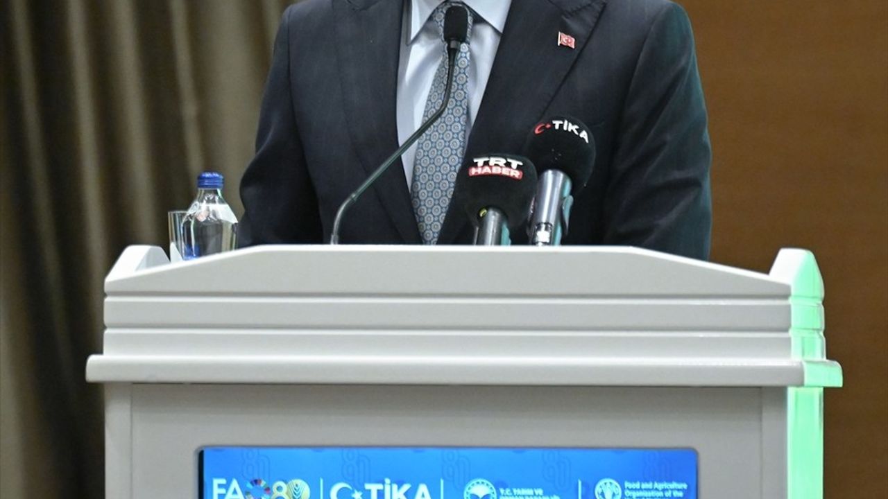 Ankara'da TİKA-FAO Paneli: Türkiye’nin Tarım-Gıda Sistemlerinin Dönüşümü ve Güney-Güney İşbirliği