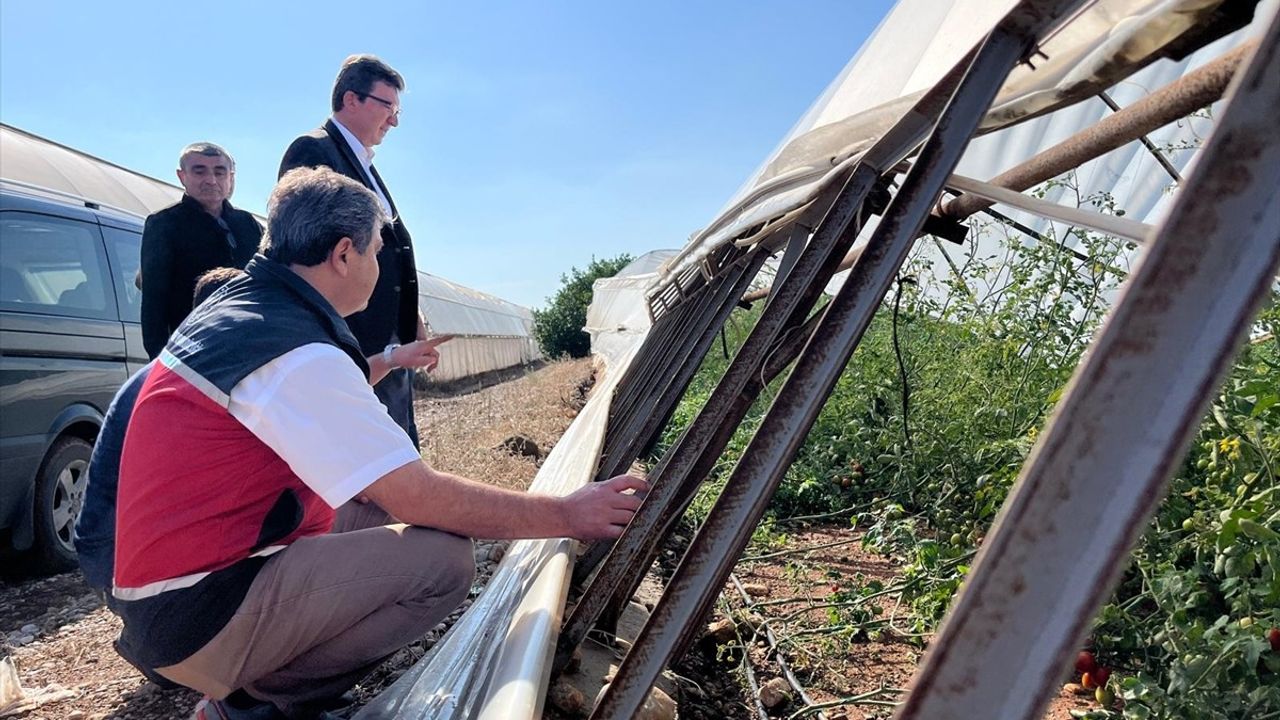 Antalya Serik'te fırtına sonrası seralarda hasar tespit çalışması başlatıldı