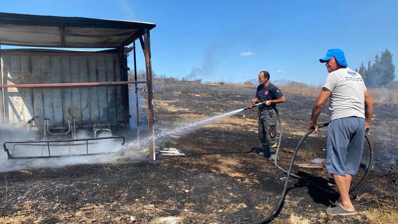 Antalya Serik'te güvercin kulübesi yangını: 25 güvercin telef oldu