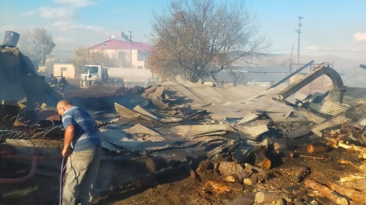 Ardahan Akyaka köyünde ahır yangını: 23 hayvan telef oldu, ev ve ahırda hasar
