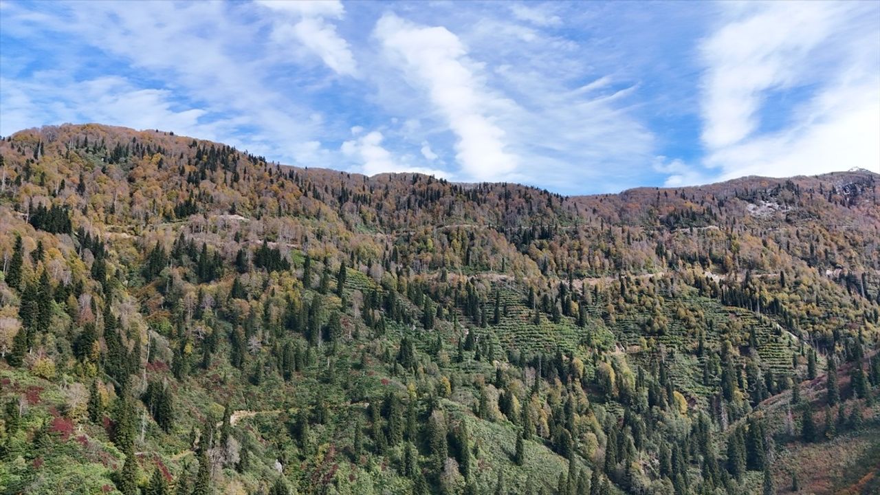 Artvin'de Borçka Karagöl Tabiat Parkı sonbahar renkleriyle ziyaretçilerini karşılıyor