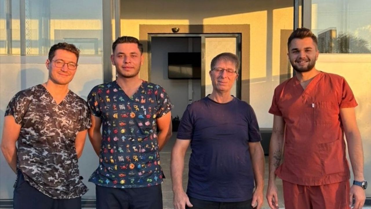 Balıkesir'de sahipsiz köpek Gofret'in idrar kesesinden 147 taş çıkarıldı