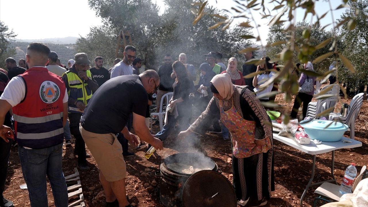 Batı Şeria'da zeytin hasadı: Çiftçilerin arazilere erişimi engelleniyor ve saldırılar artıyor