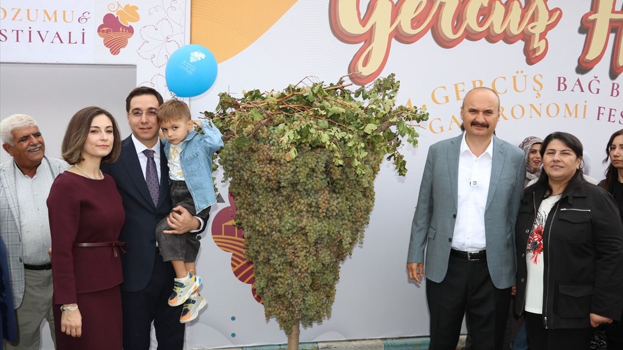 Batman'da 4. Gercüş Bağ Bozumu ve Gastronomi Festivali Bağlarbaşı Mahallesi'nde gerçekleştirildi